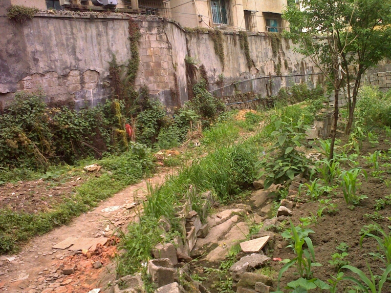20110505131.jpg