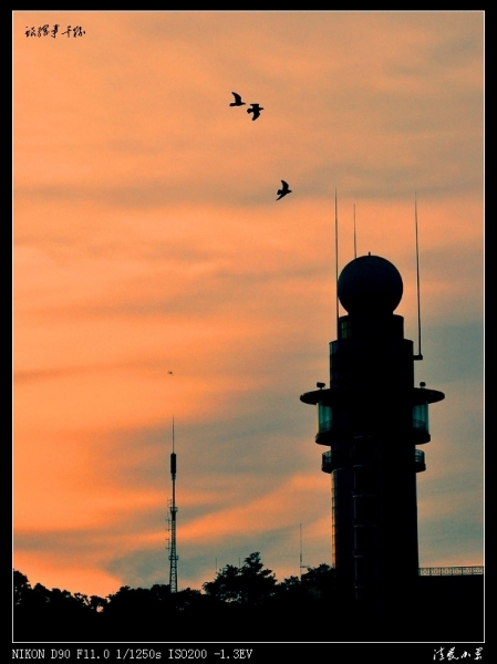DSC_4756.jpg