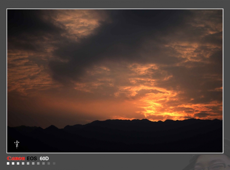 20110525--9.jpg