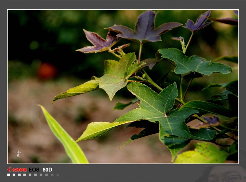 20110526-32.jpg