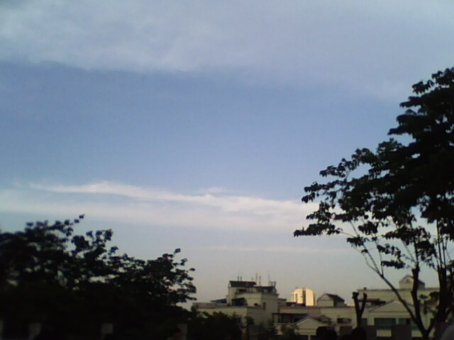 110528624.jpg