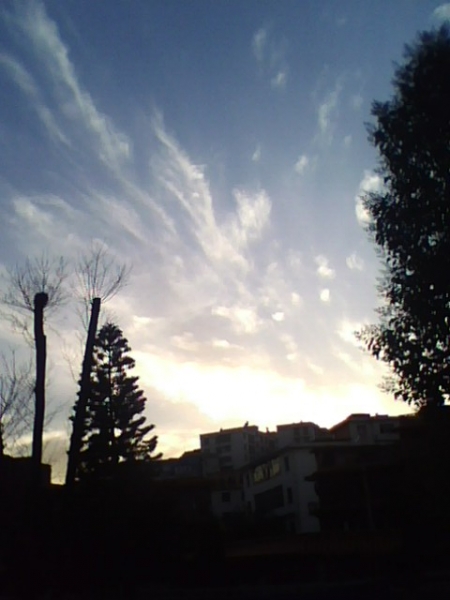 110528648.jpg
