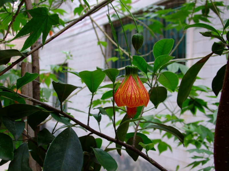 Ƭ 092.jpg