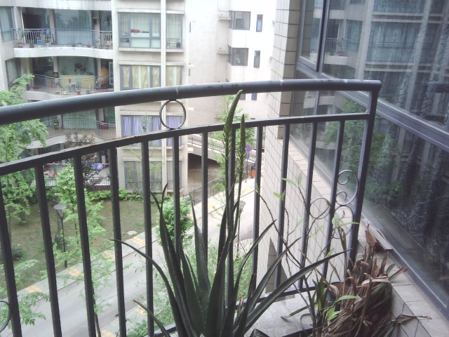 IMG20110417_084846.jpg