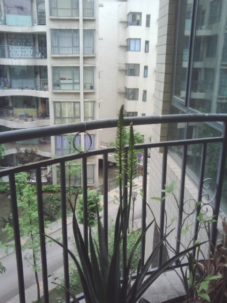 IMG20110423_095753.jpg