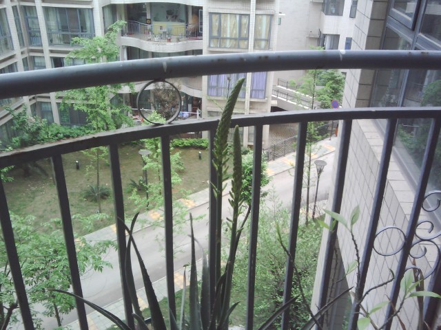 IMG20110417_084940.jpg