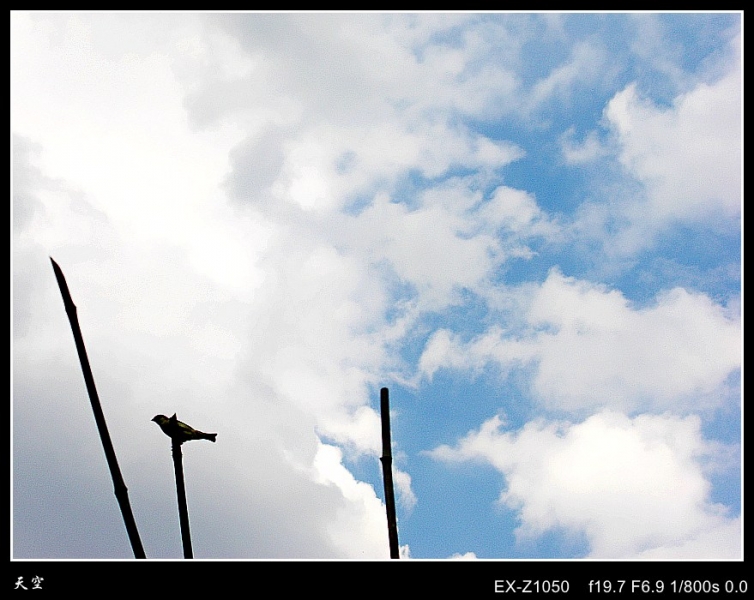 CIMG8818_conew1.jpg