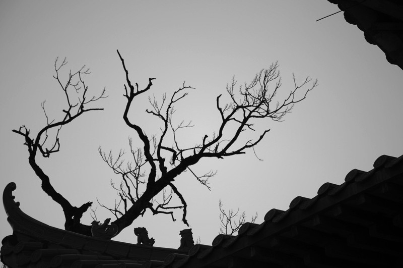 DSC_0029 _.jpg