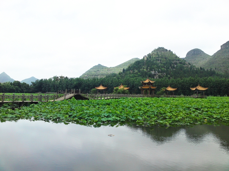 DPP_0008.JPG