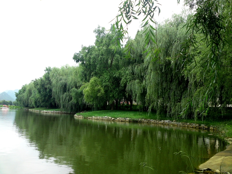 DPP_0011.JPG