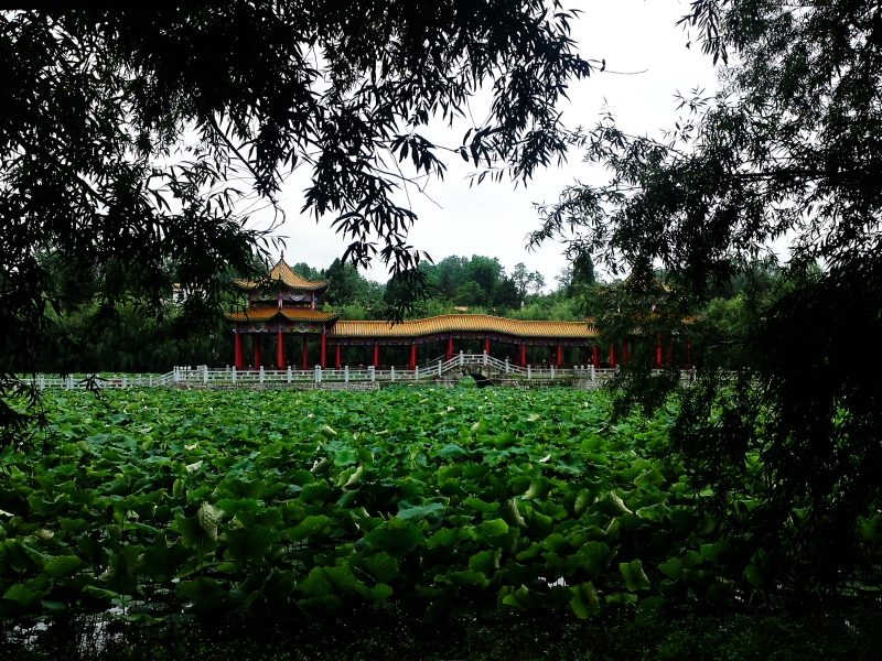 DPP_0018.JPG