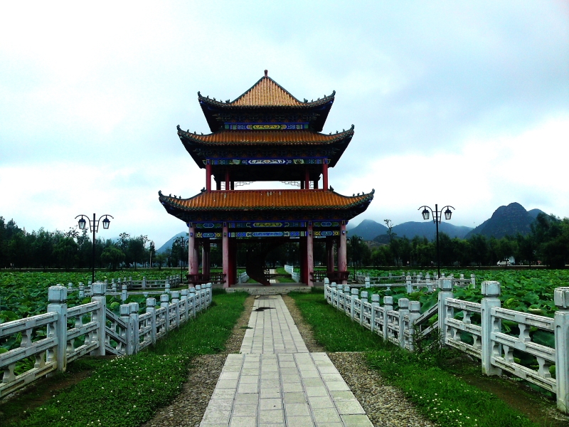 DPP_0023.JPG