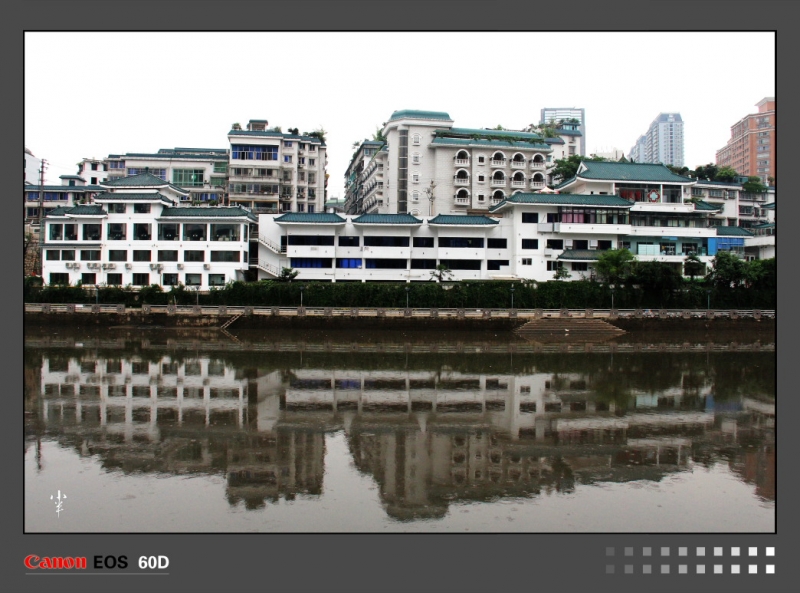 DPP_000361.JPG