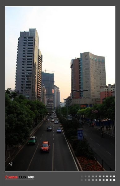 DPP_000339.JPG