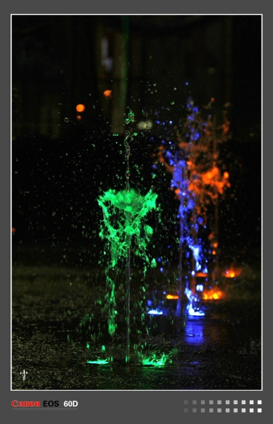 DPP_000306.JPG
