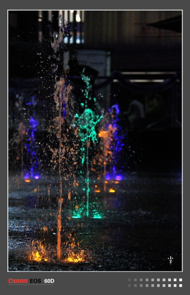 DPP_000323.JPG
