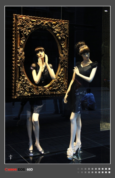 DPP_000338.JPG