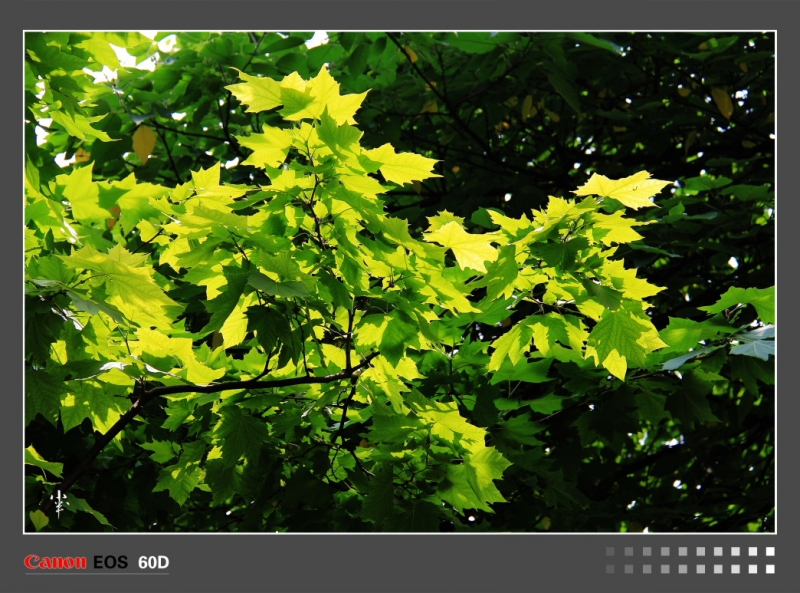DPP_000370.JPG