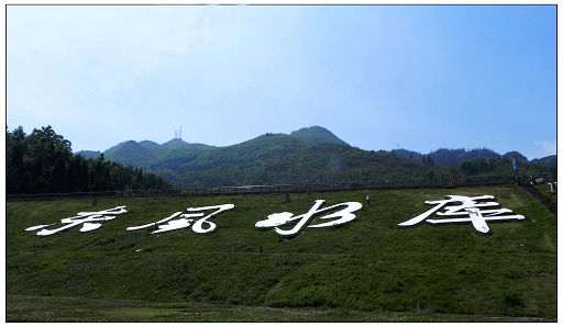 Ƭ 040.jpg