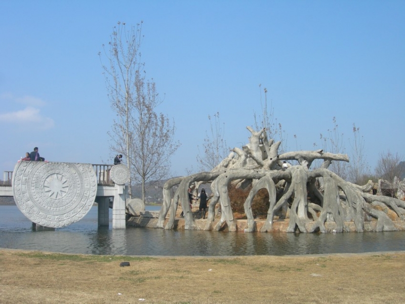 DSCN8427_conew1.jpg