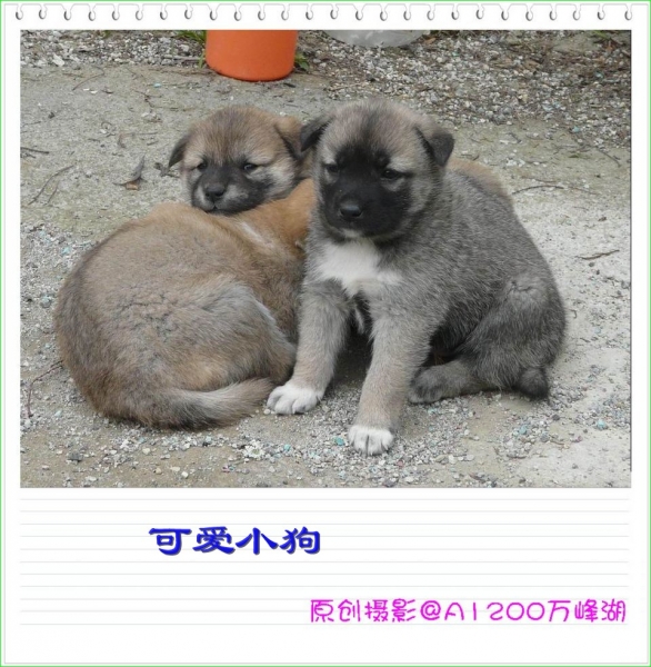 ɰС02.jpg