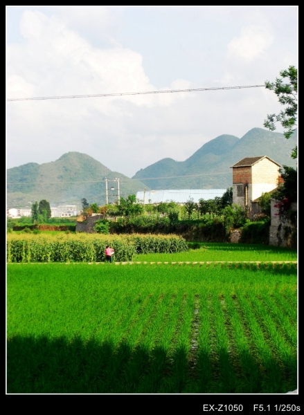 CIMG0079_conew1.jpg