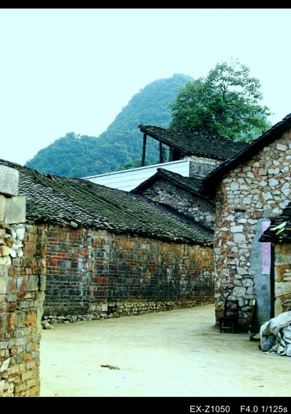 CIMG0091_conew1.jpg
