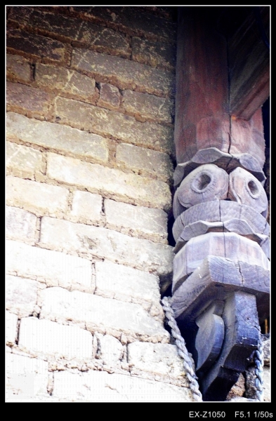 CIMG0117_conew1.jpg