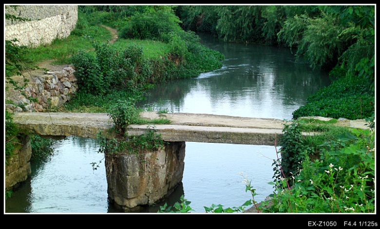 CIMG0203_conew1.jpg