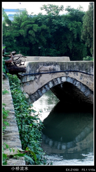 CIMG0210_conew1.jpg