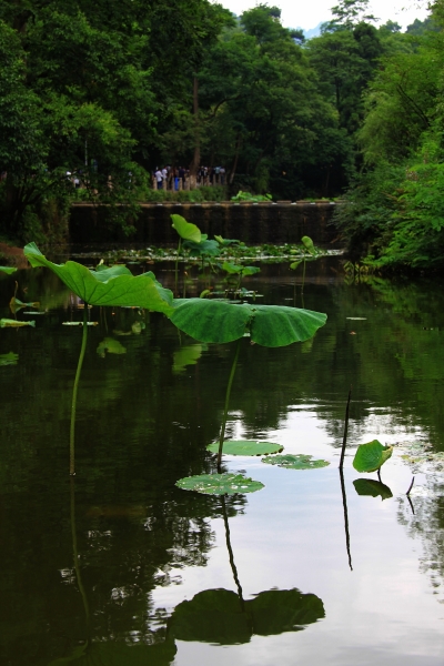 DPP_20110608.JPG