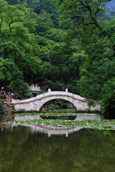 DPP_20110603.JPG