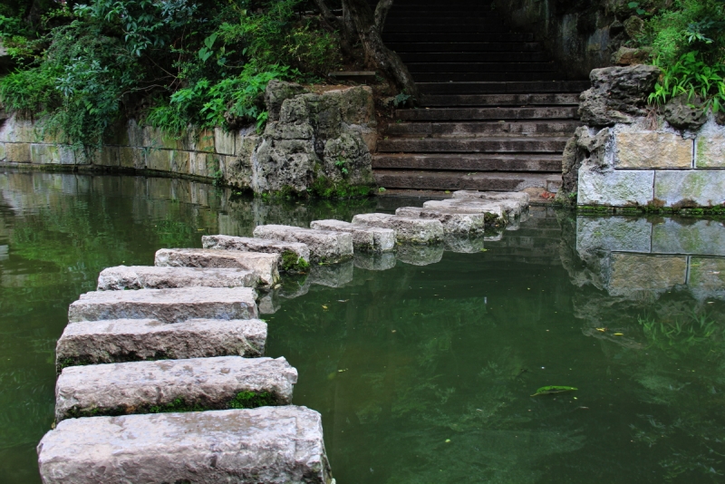 DPP_20110611.JPG