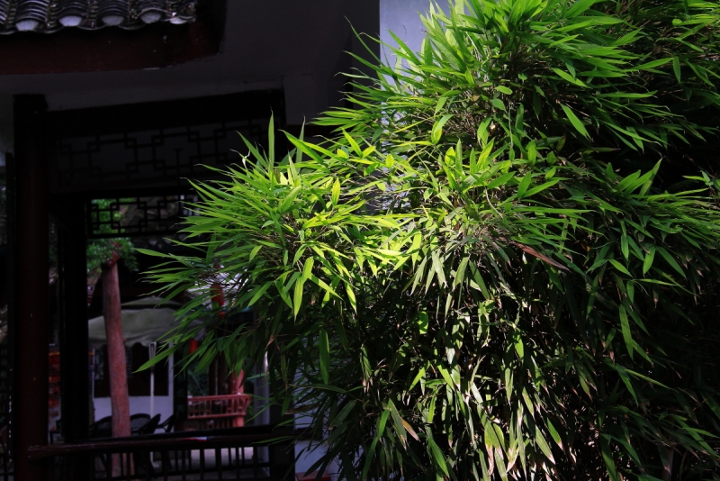 DPP_20110816.JPG