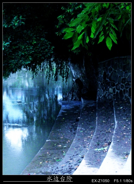 CIMG0014_conew1.jpg