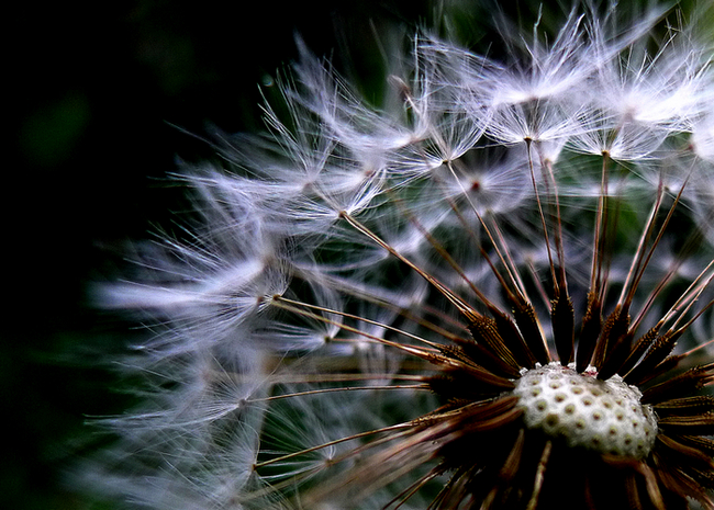 P1030151.jpg
