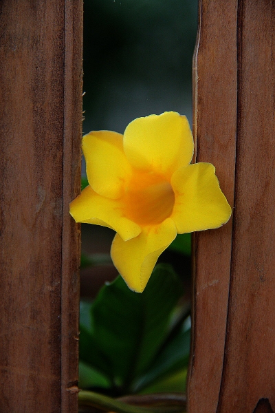 DPP_11063054.JPG