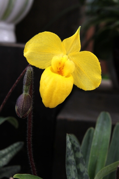 DPP_11063014.JPG