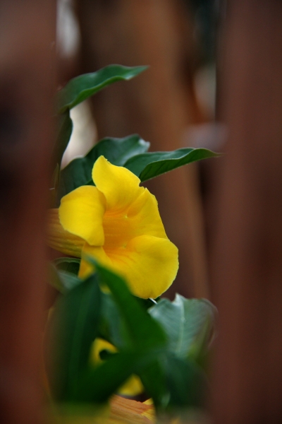 DPP_11063018.JPG