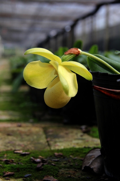 DPP_11063049.JPG