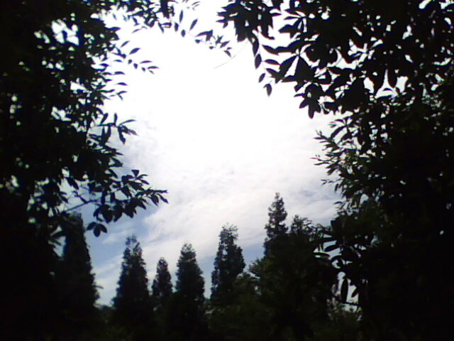 110628724.jpg