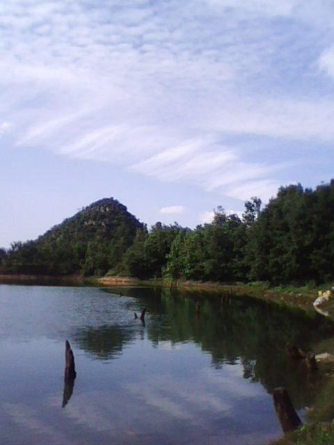 110628731.jpg
