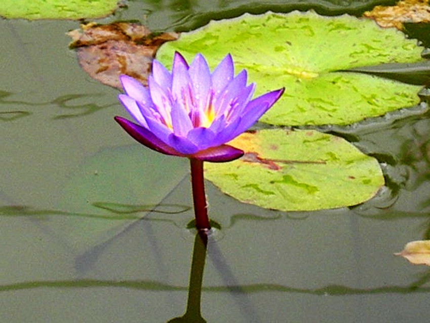 DSCN8899_conew1.jpg