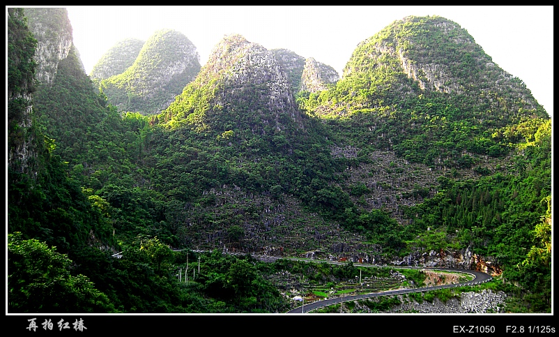 CIMG0424_conew1.jpg