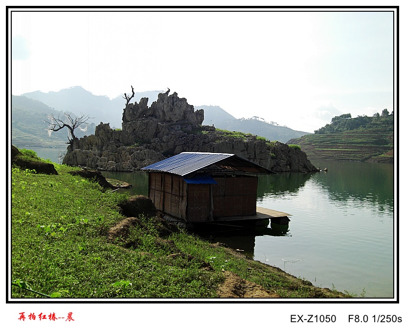 CIMG0556_conew1.jpg