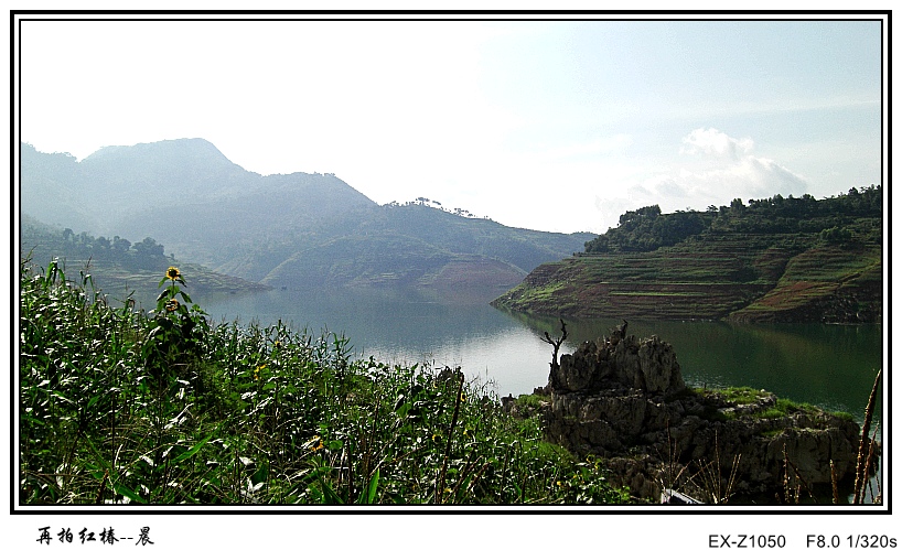 CIMG0563_conew1.jpg