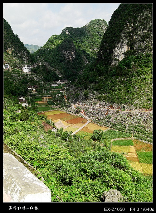 CIMG0586_conew1.jpg