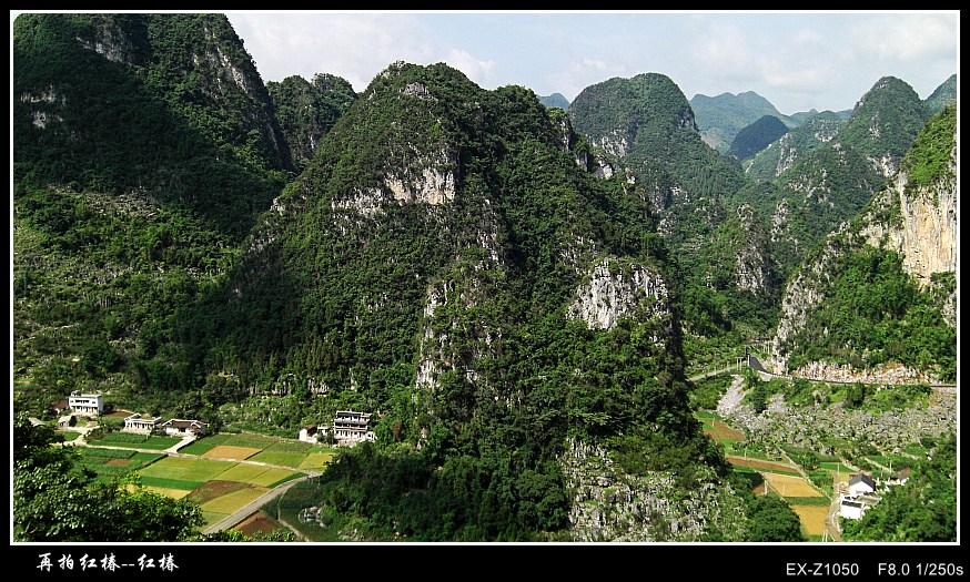 CIMG0593_conew1.jpg