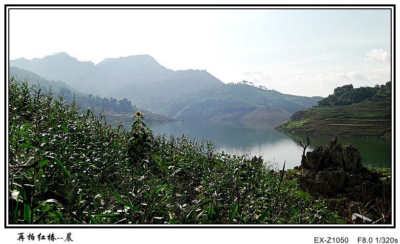 CIMG0562_conew1.jpg