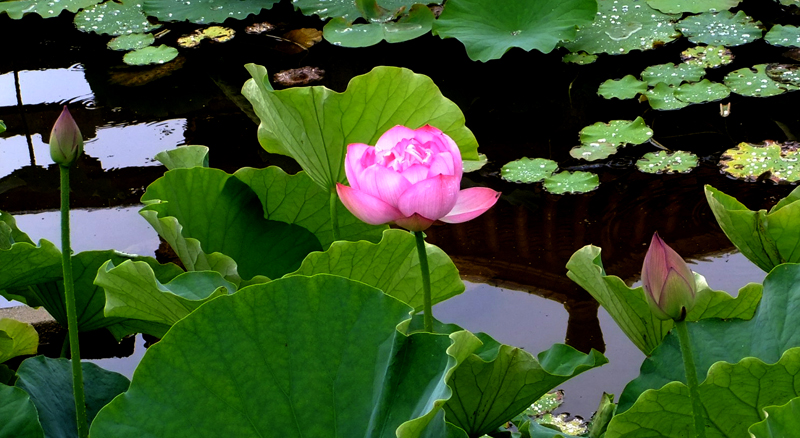 DSCF6430.JPG